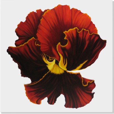 Bearded Iris - Contemporary Limited Edition Art on canvas by Jo Bunce